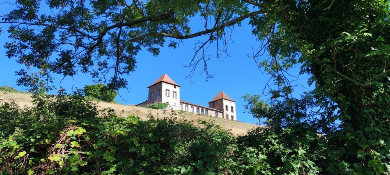 Chateau De Gorze Apartment Germolles-sur-Grosne