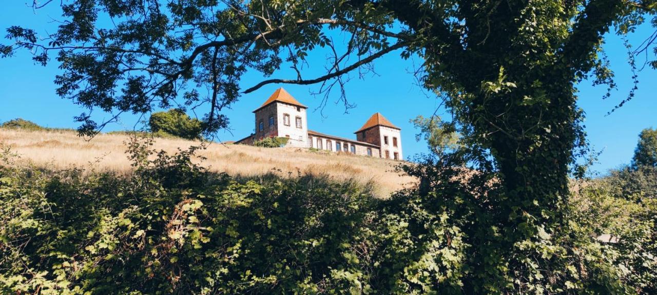 Chateau De Gorze Apartment